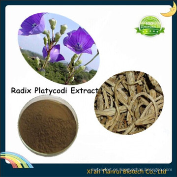 Extracto de Radix Platycodi, Extracto de Balloonflower, Extracto de Platycodon Grandiflorum